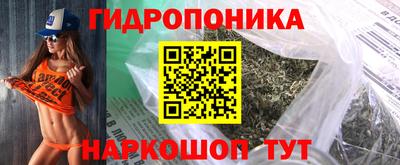 сатива Краснодар
