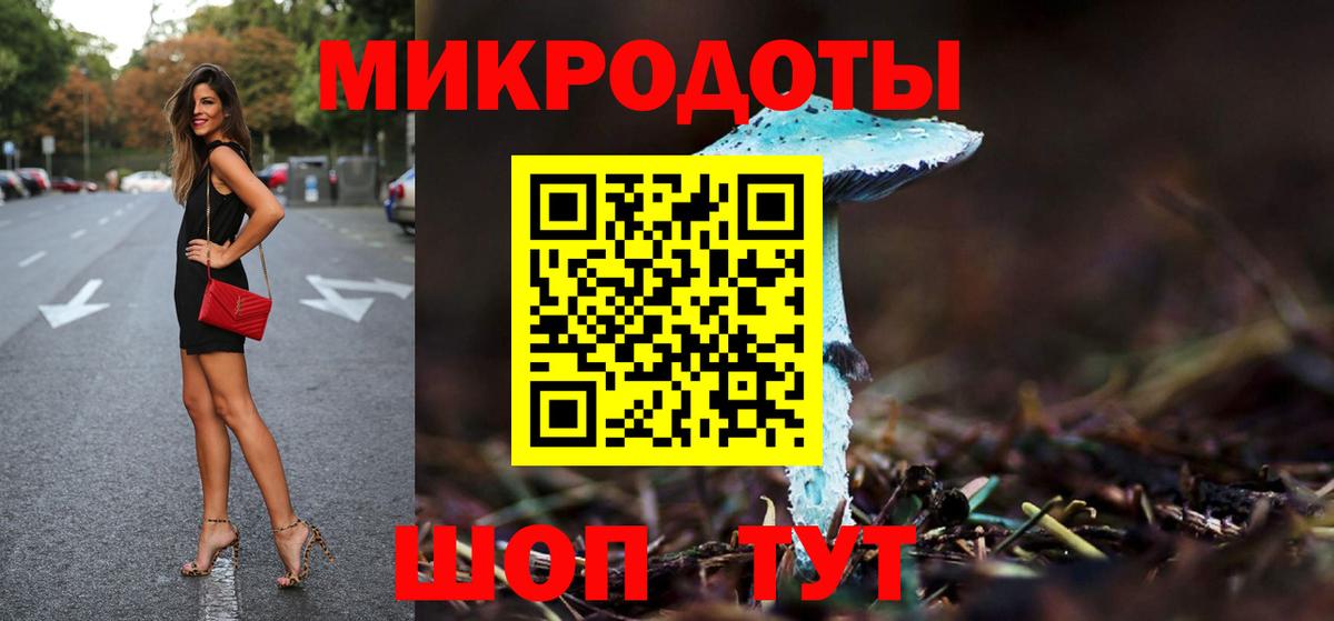 Галлюциногенные грибы Psilocybe Салават