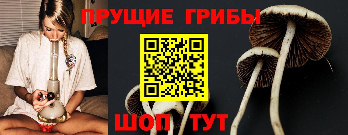 Салават  Псилоцибиновые грибы Magic Shrooms  Вход с VPN 